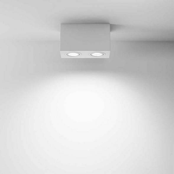 Потолочный светильник Maytoni Technical Atom C017CL-02W