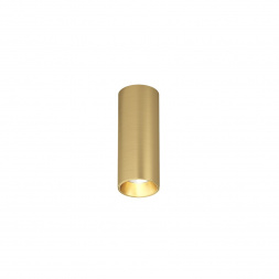 Потолочный светодиодный светильник Denkirs Shine Tube DK2615-SB