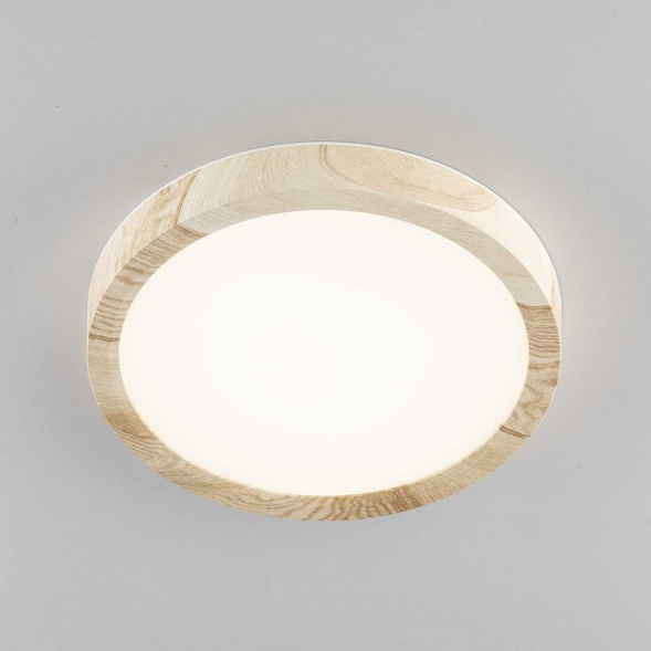 Светильник накладной Citilux Бейсик CL738122N