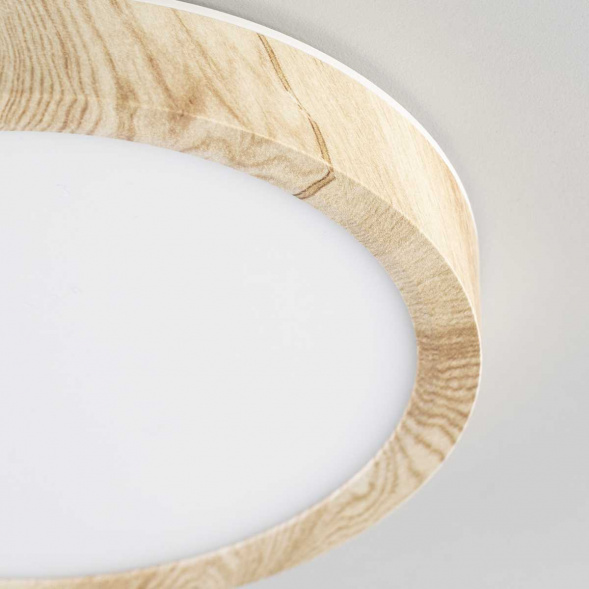 Светильник накладной Citilux Бейсик CL738122N