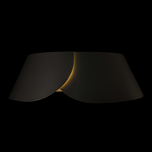 Потолочный светильник LOFT IT Lane 10370 Black