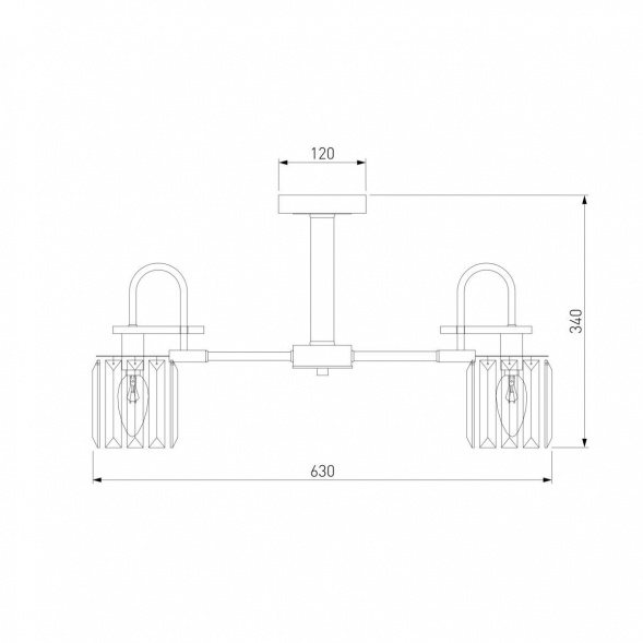 Потолочная люстра Eurosvet Tenia 70090/5 графит
