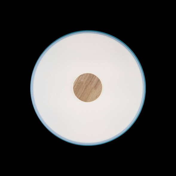 Потолочный светодиодный светильник Loft IT Axel 10003/24 blue