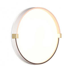 Настенно-потолочный светодиодный светильник Sonex Pale Olidi White 7646/CL
