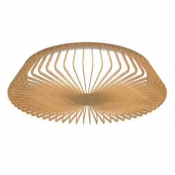 Потолочный светодиодный светильник Mantra Himalaya 7964