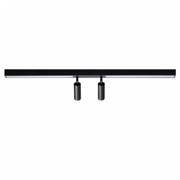 Потолочный светильник Lumion HAWK 5690/14CL