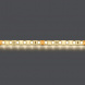 Светодиодная влагозащищенная лента Lightstar 12W/m 120LED/m дневной белый 5M 420554
