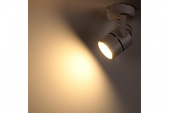 Спот Ritter Arton 59962 3