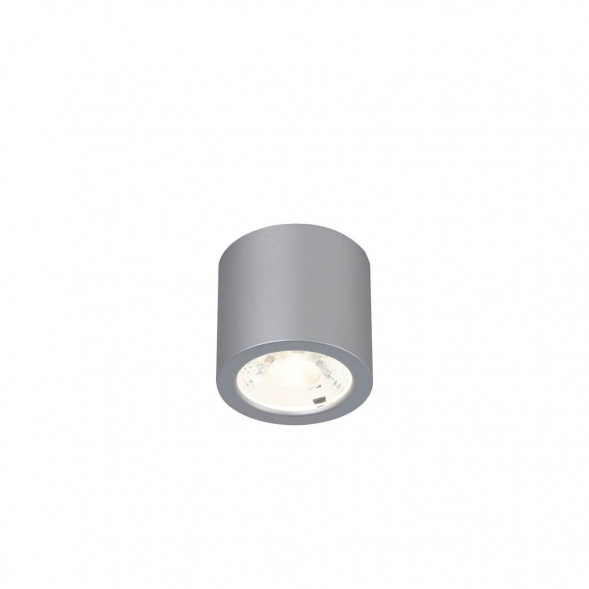 Потолочный светодиодный светильник Favourite Deorsum 2808-1C