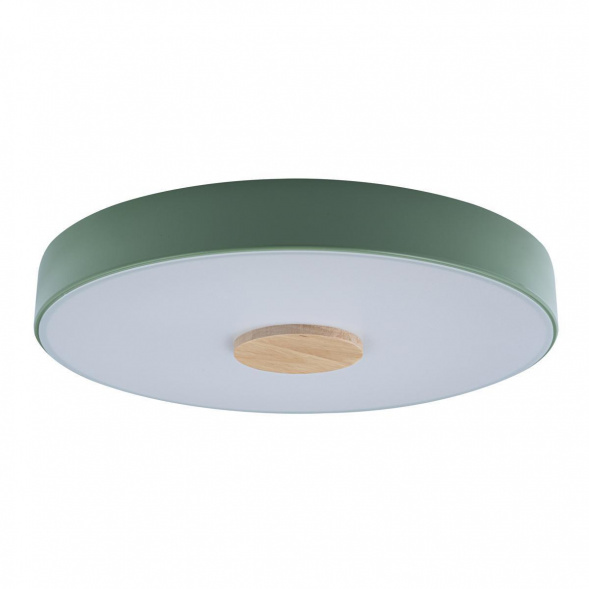 Потолочный светодиодный светильник Loft IT Axel 10003/24 green