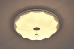 Потолочный светодиодный светильник Escada 10231/S LED