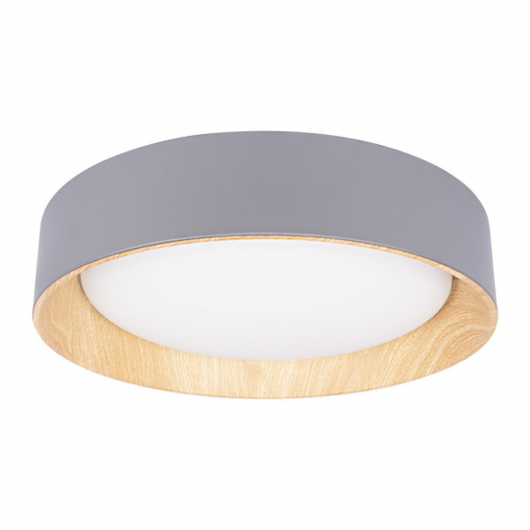 Потолочный светодиодный светильник Loft IT Coin 10202 Grey