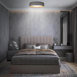 Потолочный светодиодный светильник Loft IT Coin 10202 Grey