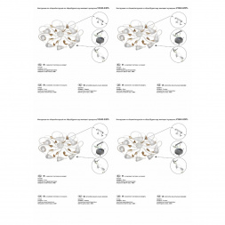 Потолочная люстра Vitaluce V3940-0/8PL