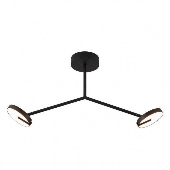 Потолочная светодиодная люстра Favourite Paritet 4401-2C