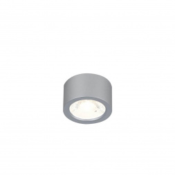 Потолочный светодиодный светильник Favourite Deorsum 2808-1U