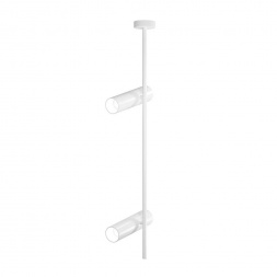 Потолочный светильник Maytoni Elti C021CL-02W