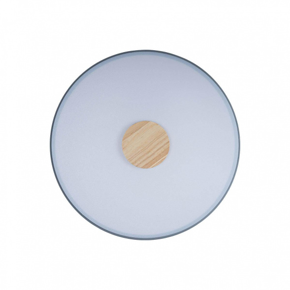 Потолочный светодиодный светильник Loft IT Axel 10003/24 grey