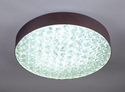 Потолочный светодиодный светильник Escada 10246/1LED