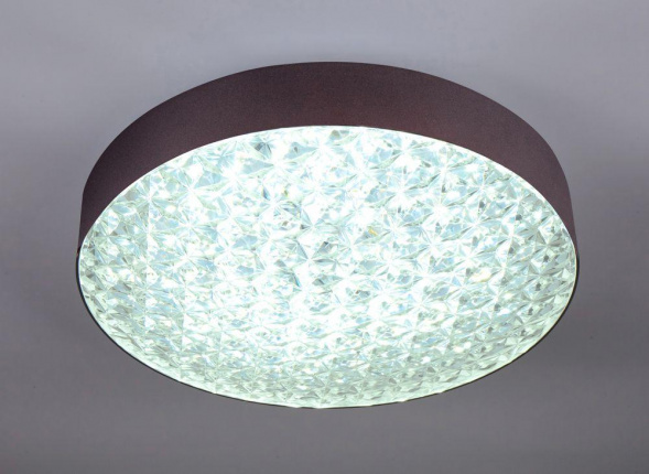 Потолочный светодиодный светильник Escada 10246/1LED