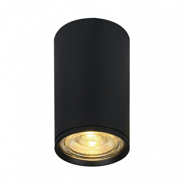 Потолочный светильник Escada 20001SMU/01 SBK