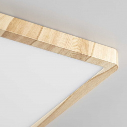 Светильник накладной Citilux Бейсик CL738K242V