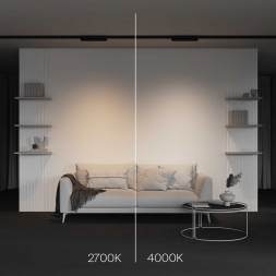 Трековый светодиодный светильник Maytoni Technical Basis TR196-3-10W2.7K-B