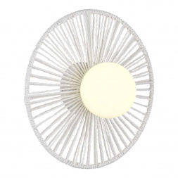 Настенный светильник Evoluce LOOM SLE6022-501-01