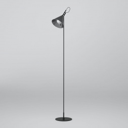 Торшер Eurosvet Enigma 01187/1 черный