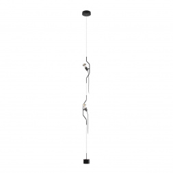 Подвесной светильник Loft IT Parentesi 10346/2 Black