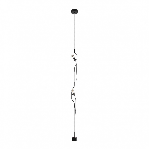Подвесной светильник Loft IT Parentesi 10346/2 Black