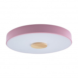 Потолочный светодиодный светильник Loft IT Axel 10003/24 pink