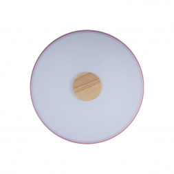 Потолочный светодиодный светильник Loft IT Axel 10003/24 pink