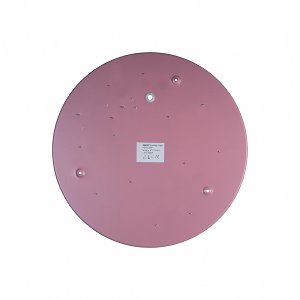 Потолочный светодиодный светильник Loft IT Axel 10003/24 pink
