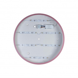 Потолочный светодиодный светильник Loft IT Axel 10003/24 pink