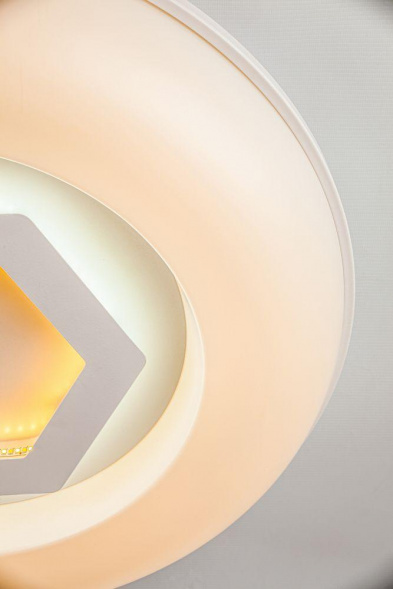 Потолочный светодиодный светильник Escada 10254/S LED