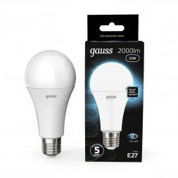 Лампа светодиодная Gauss E27 22W 4100К матовая 102502222