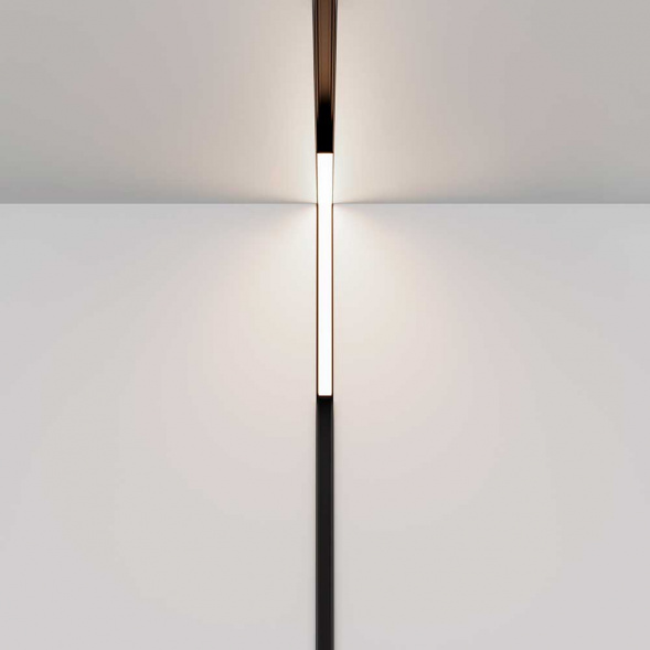 Трековый светодиодный светильник Maytoni Technical Magnetic Exility Basis TR102-24W4K-B