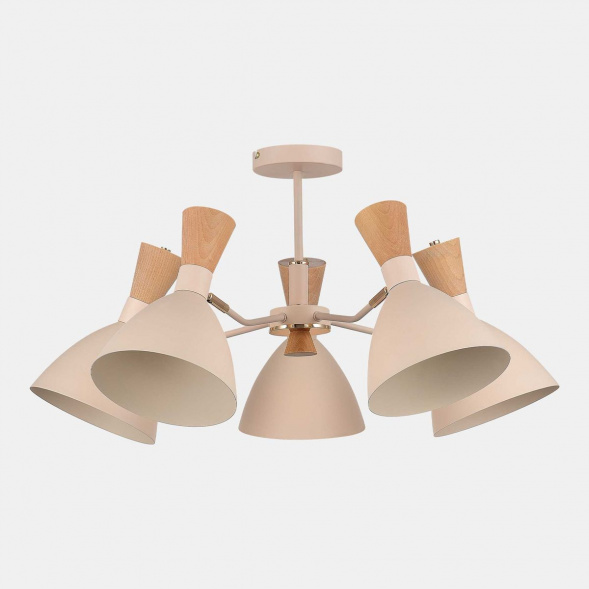 Потолочная люстра Evoluce Vista SLE1256-502-05