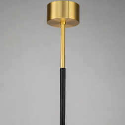 Подвесная люстра Favourite Maximo 2623-12P