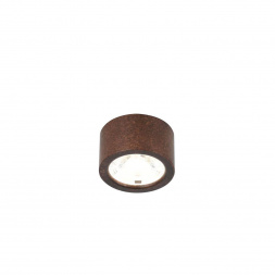 Потолочный светодиодный светильник Favourite Deorsum 2809-1U