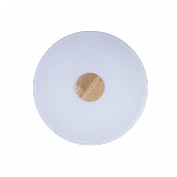 Потолочный светодиодный светильник Loft IT Axel 10003/24 white