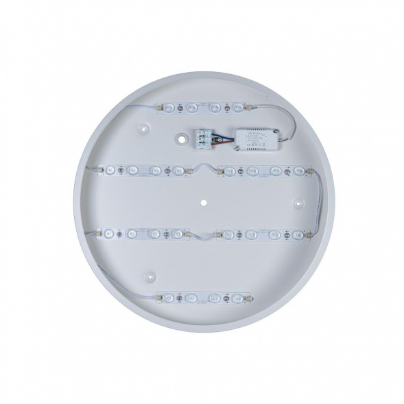 Потолочный светодиодный светильник Loft IT Axel 10003/24 white