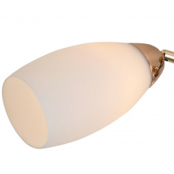 Потолочный светильник Reluce 07086-0.3-06