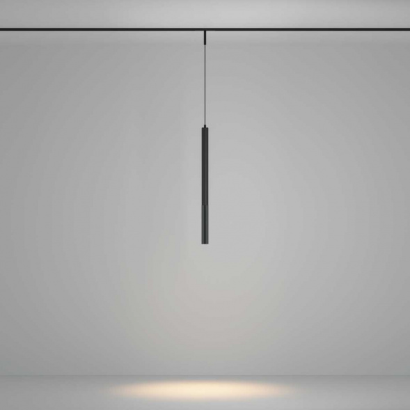 Трековый подвесной светильник Maytoni Technical TR179-1-5WTW-M-B