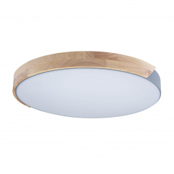 Потолочный светодиодный светильник Loft IT Axel 10004/36 grey