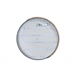 Потолочный светодиодный светильник Loft IT Axel 10004/36 grey