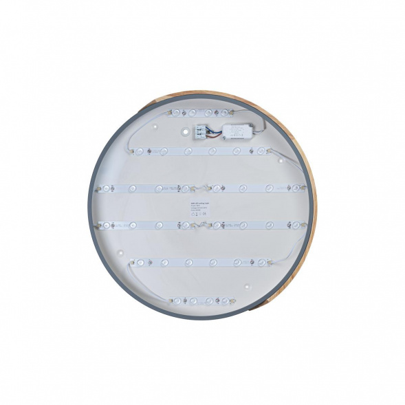 Потолочный светодиодный светильник Loft IT Axel 10004/36 grey