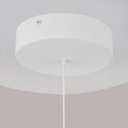 Подвесной светодиодный светильник Maytoni Technical Ray P021PL-L10W