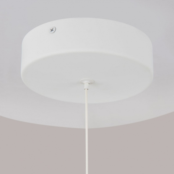 Подвесной светодиодный светильник Maytoni Technical Ray P021PL-L10W